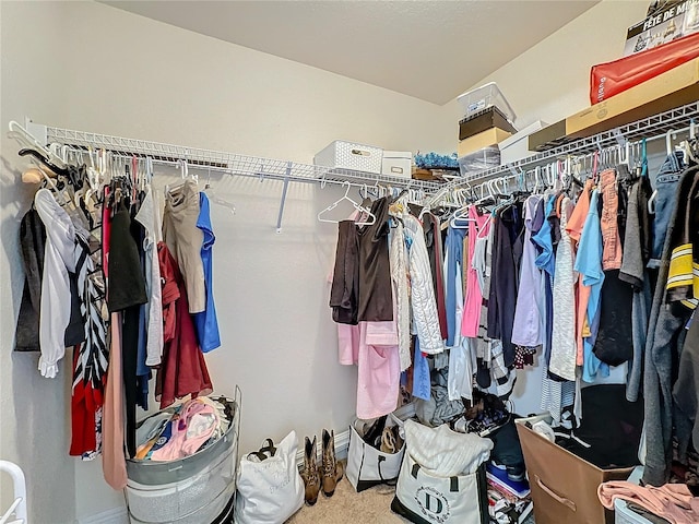 walk in closet featuring carpet floors