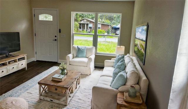 living room featuring hardwood / wood-style flooring