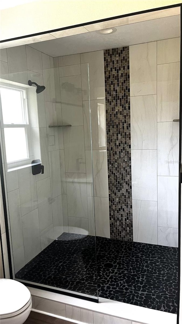 bathroom with toilet and a shower with door