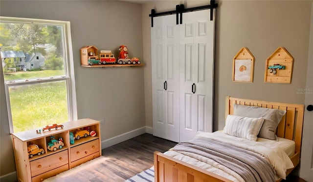 bedroom featuring a closet, multiple windows, and a barn door