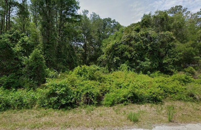 9296 N Black Oak Way, Crystal River FL, 34428 land for sale