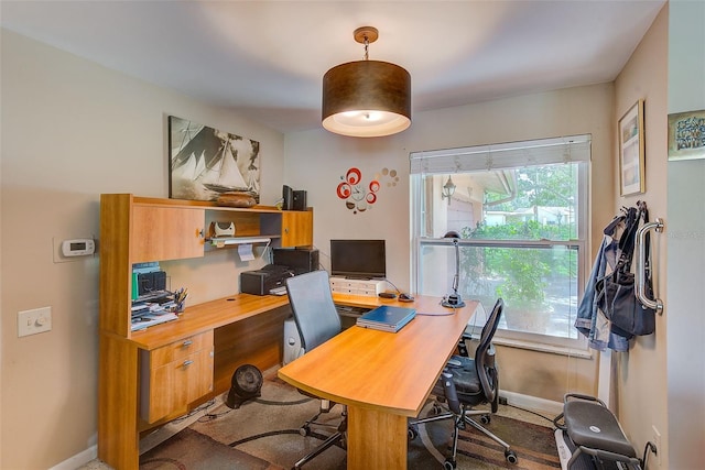 office space with carpet floors