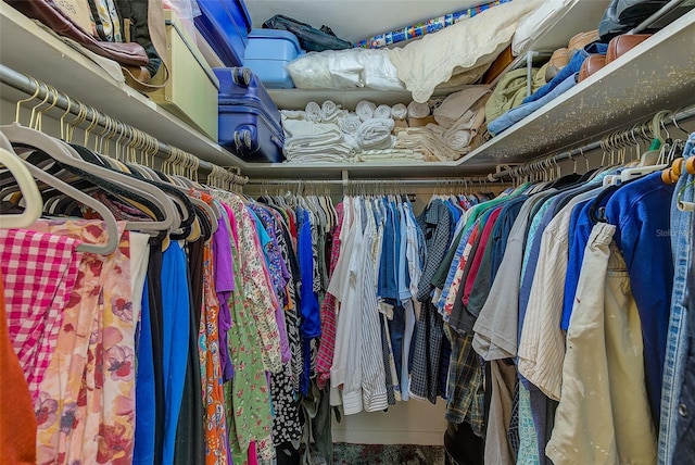 view of walk in closet