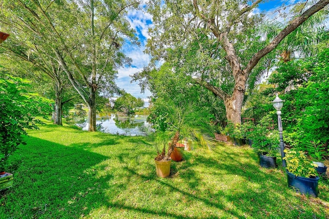 view of yard with a water view