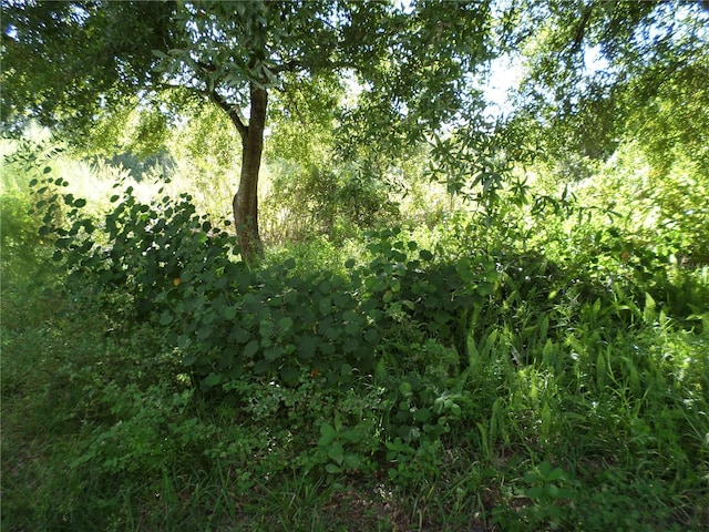 view of landscape