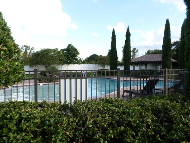 view of swimming pool