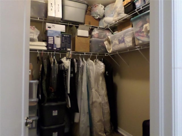 view of walk in closet