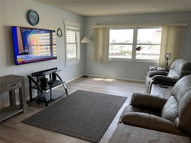 living room with wood-type flooring and a textured ceiling