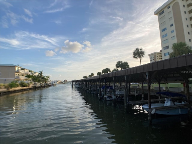 dock area with a water view