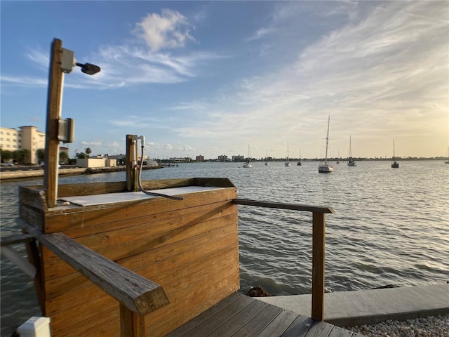 dock area with a water view