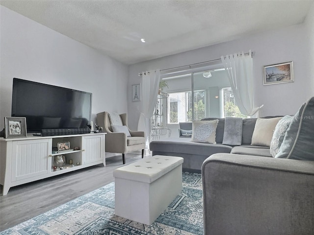 living room with a textured ceiling and hardwood / wood-style floors