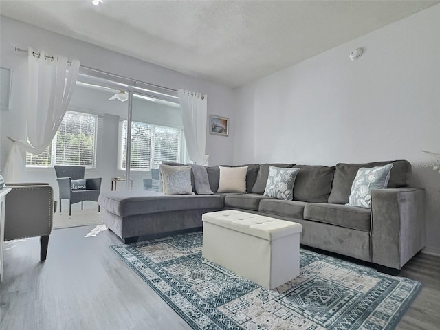 living room featuring hardwood / wood-style floors