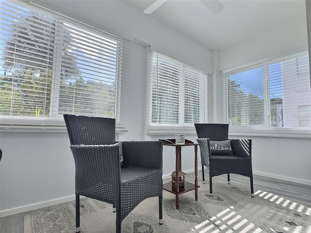 sitting room with ceiling fan, plenty of natural light, and hardwood / wood-style floors