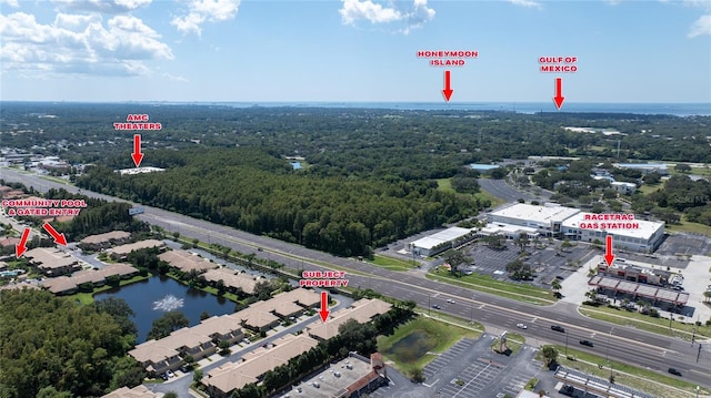 2539 Silverback Ct, Palm Harbor, FL 34684 - aerial view with a water view