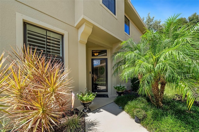 2539 Silverback Ct, Palm Harbor, FL 34684 - doorway to property featuring stucco siding
