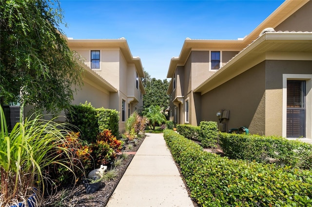 2539 Silverback Ct, Palm Harbor, FL 34684 - view of property's community