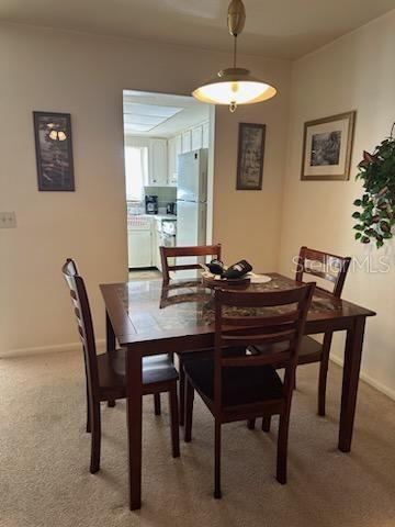 dining room featuring carpet floors