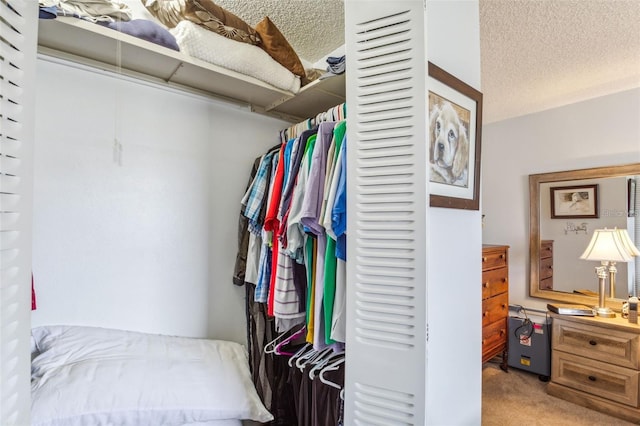 walk in closet with carpet flooring