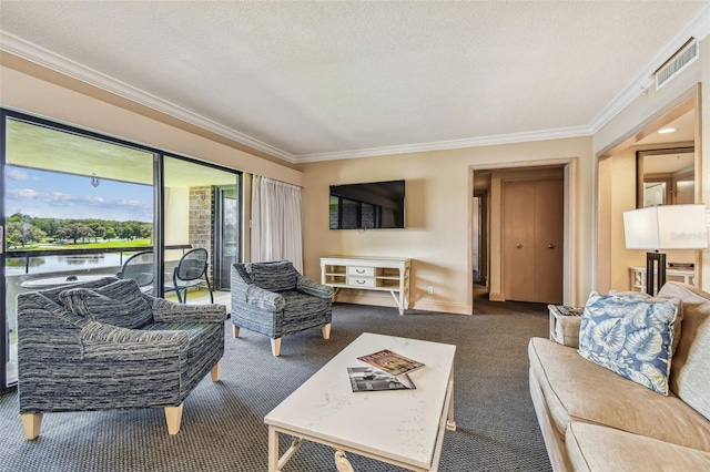 36750 US Highway 19 N Unit 04308, Palm Harbor, FL 34684 - carpeted living room with baseboards, visible vents, a textured ceiling, and crown molding