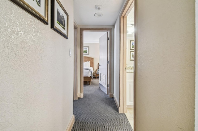 36750 US Highway 19 N Unit 04308, Palm Harbor, FL 34684 - corridor with carpet floors, a textured wall, and baseboards
