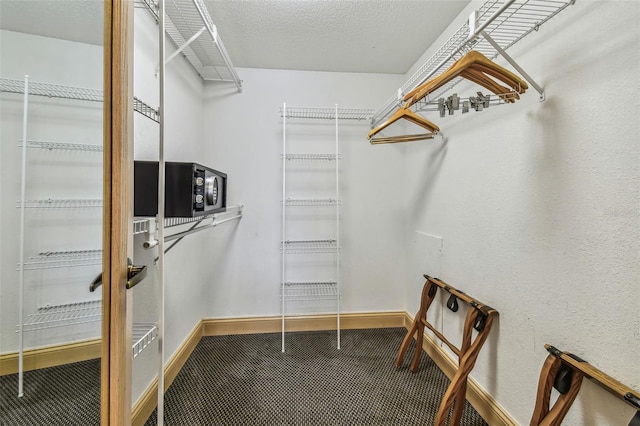 36750 US Highway 19 N Unit 04308, Palm Harbor, FL 34684 - view of spacious closet