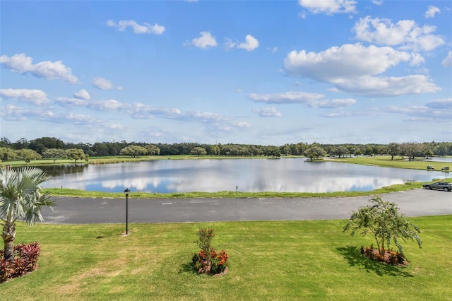 36750 US Highway 19 N Unit 04308, Palm Harbor, FL 34684 - property view of water