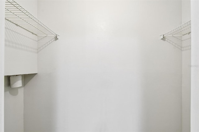 5608 Pinnacle Heights Cir Unit 305, Tampa, FL 33624 - view of spacious closet