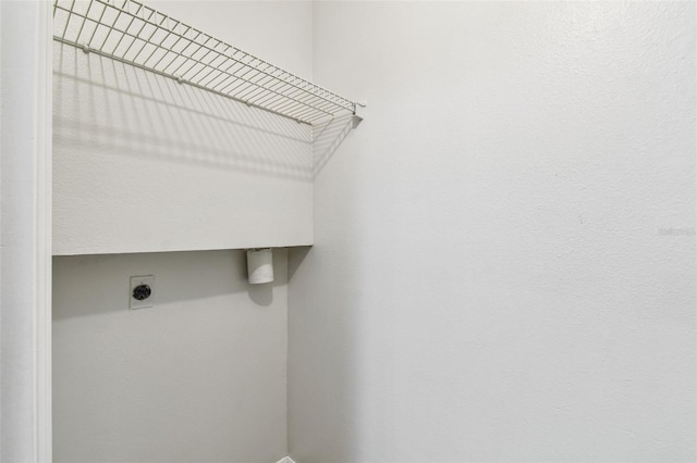5608 Pinnacle Heights Cir Unit 305, Tampa, FL 33624 - laundry area with electric dryer hookup