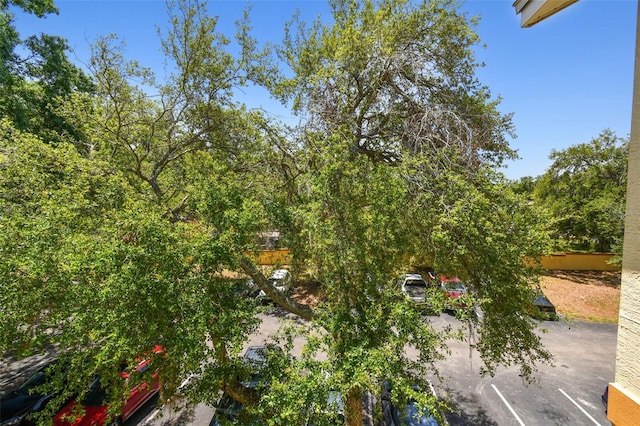 5608 Pinnacle Heights Cir Unit 305, Tampa, FL 33624 - view of yard with a patio area and fence