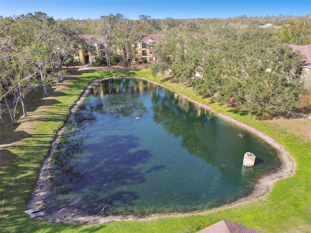 5608 Pinnacle Heights Cir Unit 305, Tampa, FL 33624 - aerial view of a large body of water