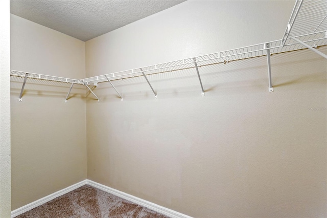 spacious closet with carpet floors