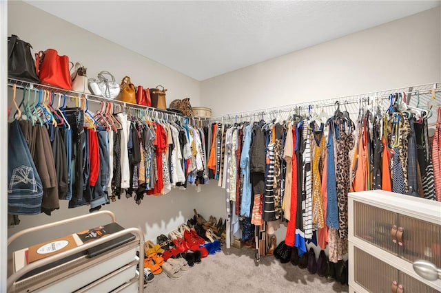 spacious closet featuring carpet