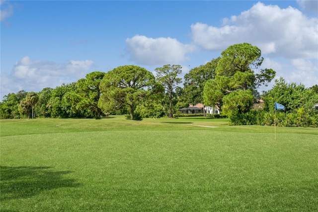 view of property's community featuring a yard