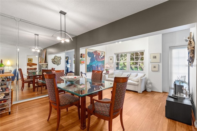 dining room featuring hardwood / wood-style flooring and a textured ceiling