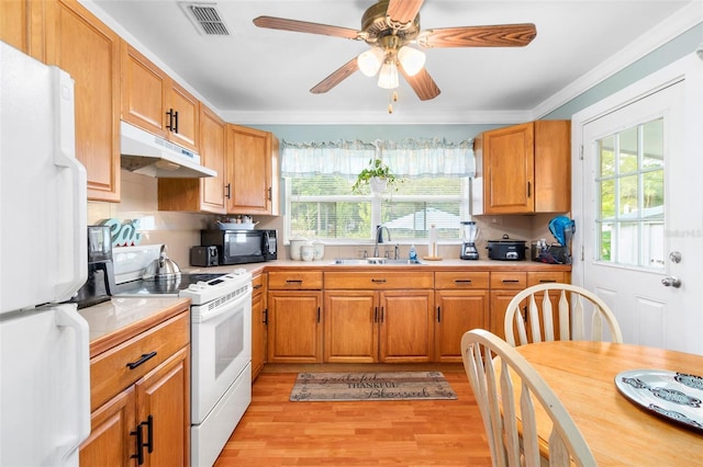 kitchen with a wealth of natural light, light countertops, a sink, under cabinet range hood, and white appliances