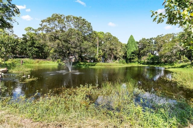 view of water feature