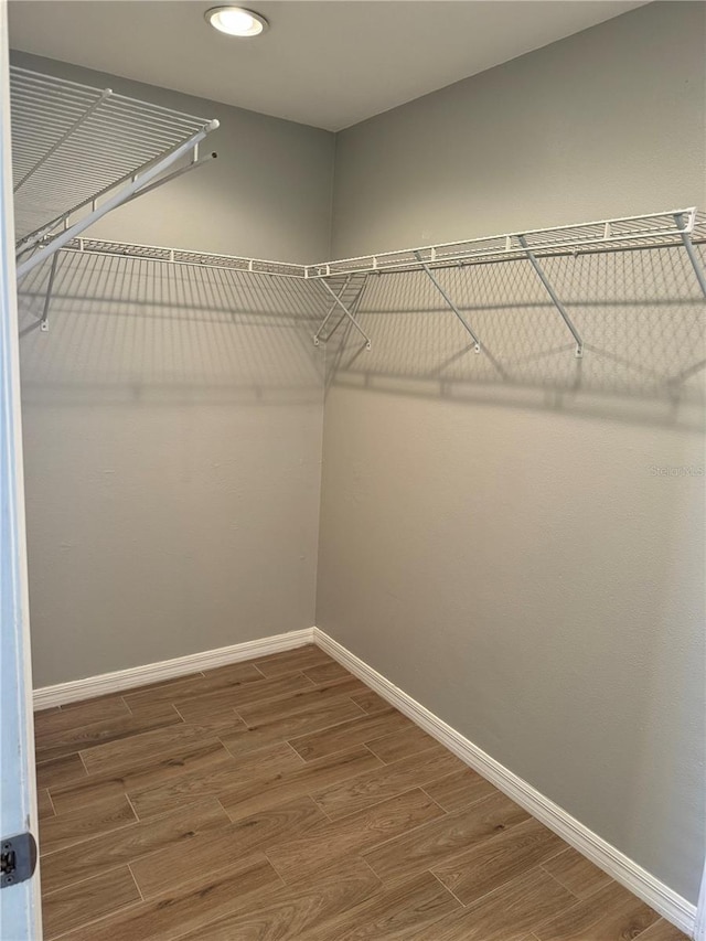 walk in closet featuring wood-type flooring