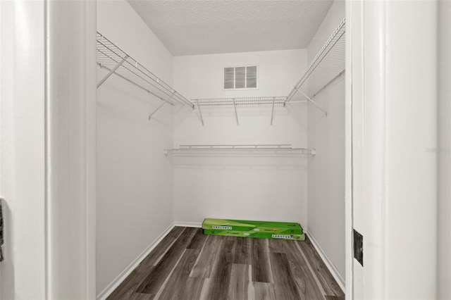 spacious closet with dark wood-type flooring