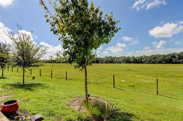 view of yard with a rural view