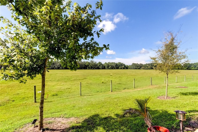 view of yard featuring a rural view