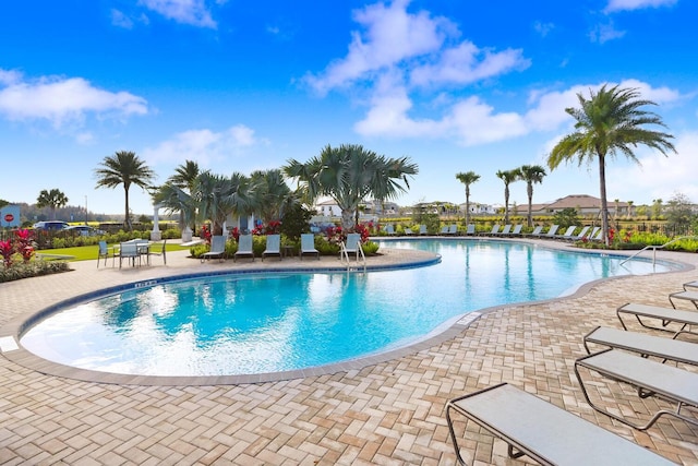 view of pool featuring a patio area