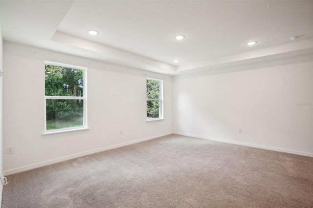 carpeted empty room with a healthy amount of sunlight and a tray ceiling