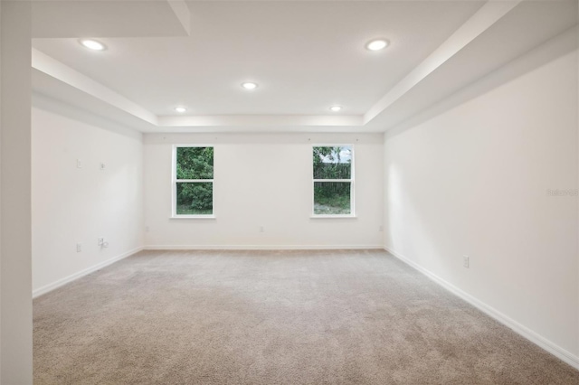 empty room featuring a tray ceiling and carpet flooring