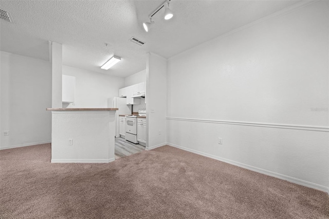 unfurnished living room featuring a textured ceiling, light carpet, and track lighting