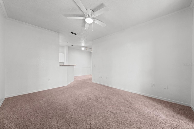 spare room featuring carpet, crown molding, and a textured ceiling