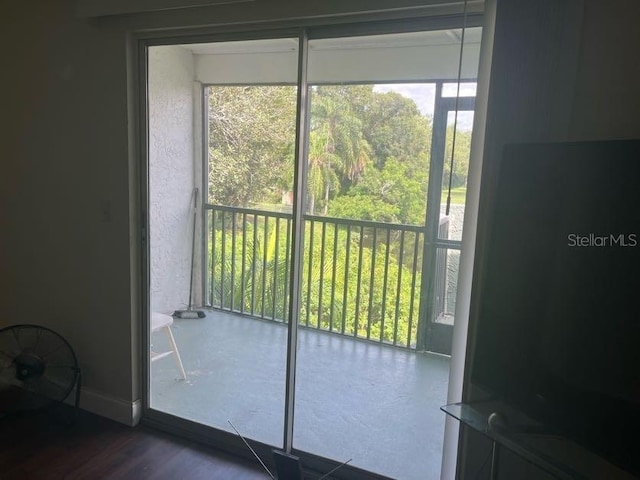 doorway featuring a wealth of natural light and dark hardwood / wood-style floors