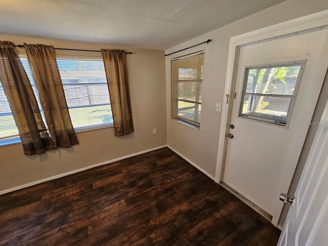 doorway to outside featuring dark wood-type flooring