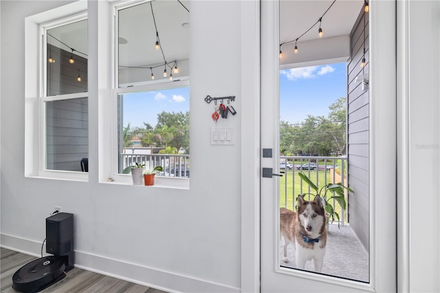 entryway with dark hardwood / wood-style flooring