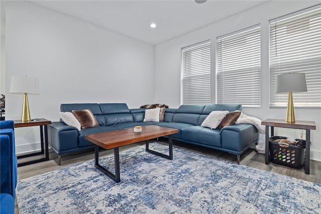 living room featuring wood-type flooring