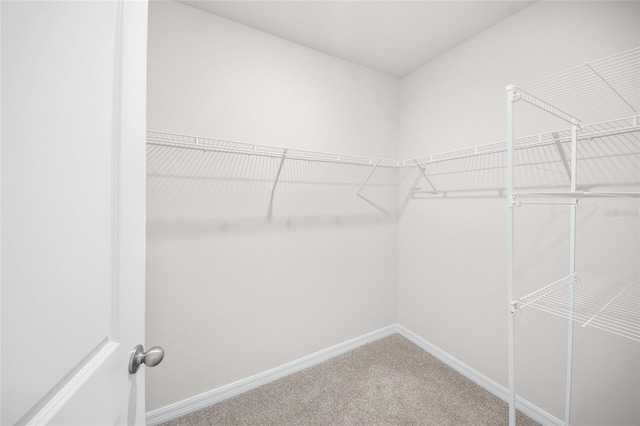 spacious closet with carpet floors